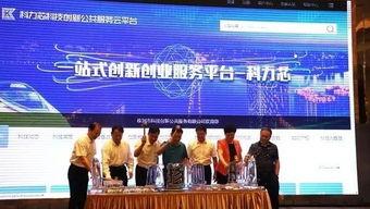 热点爆料株洲最新消息,突发事件引发社会关注